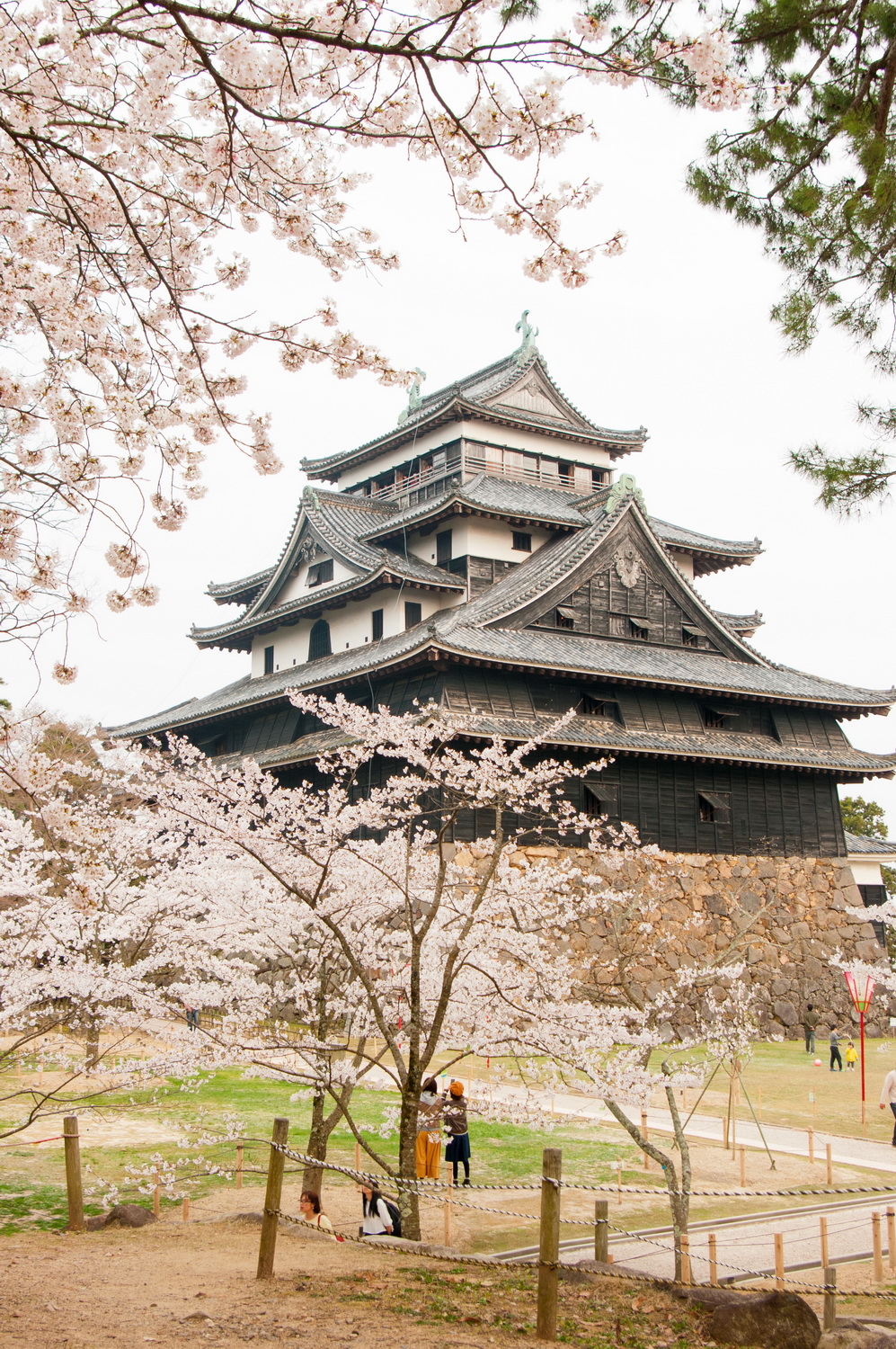Matsue Shimane Japon tourisme voyage trip rural authentique reculé chateau edo cerisier sakura hanami